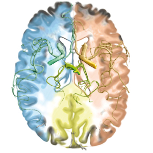 Table-Top-Scanner-Talk-Science-Festival