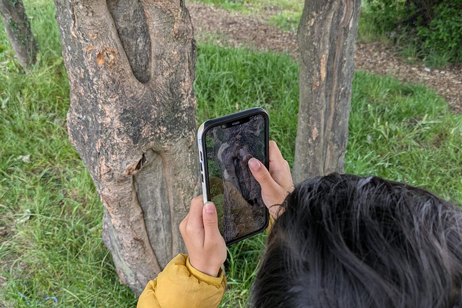 EcoARology-ProjectPage-DI